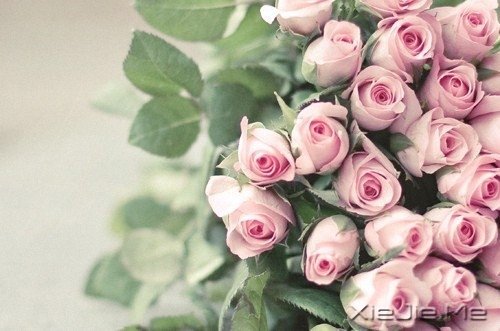 �������������������������� (10)