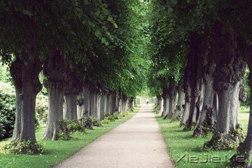 �簲����谮�Լ�����������Ҫ�� (1)