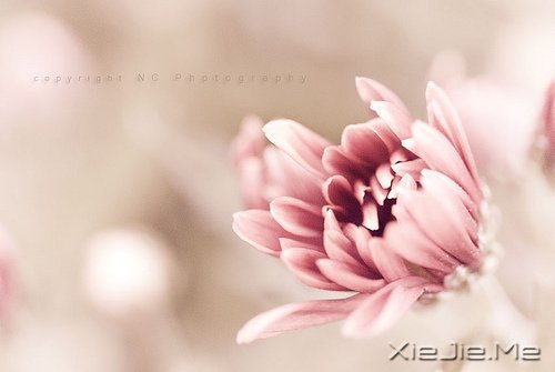 ����������������У����������� (10)